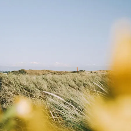 New! Brasa Aan Zee *