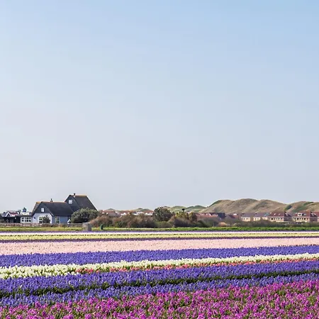 Casa de Férias New! Brasa Aan Zee